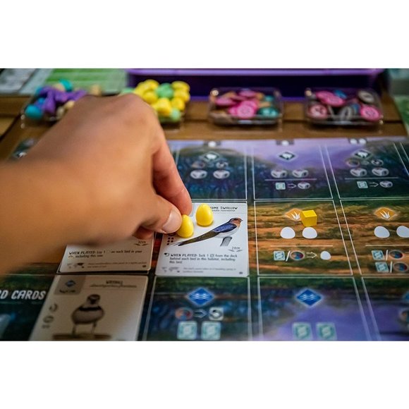 Wingspan: Oceania Expansion - Picture 6 of 6